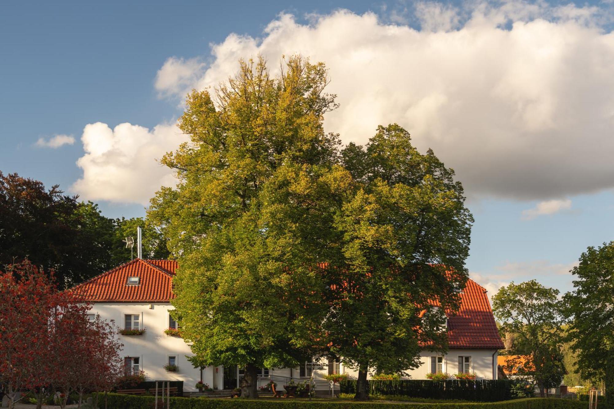 Hotel Stary Mlyn Strzeszyn à Lubowo  Extérieur photo